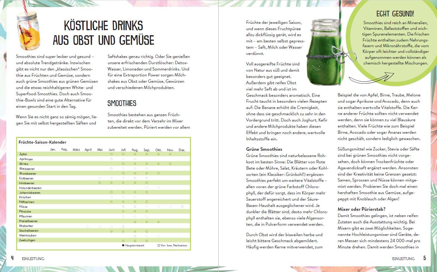 Beispielinhalt (Bild) 365 Smoothies, Powerdrinks & Co.