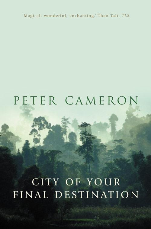Vorderes Coverbild The City of Your Final Destination