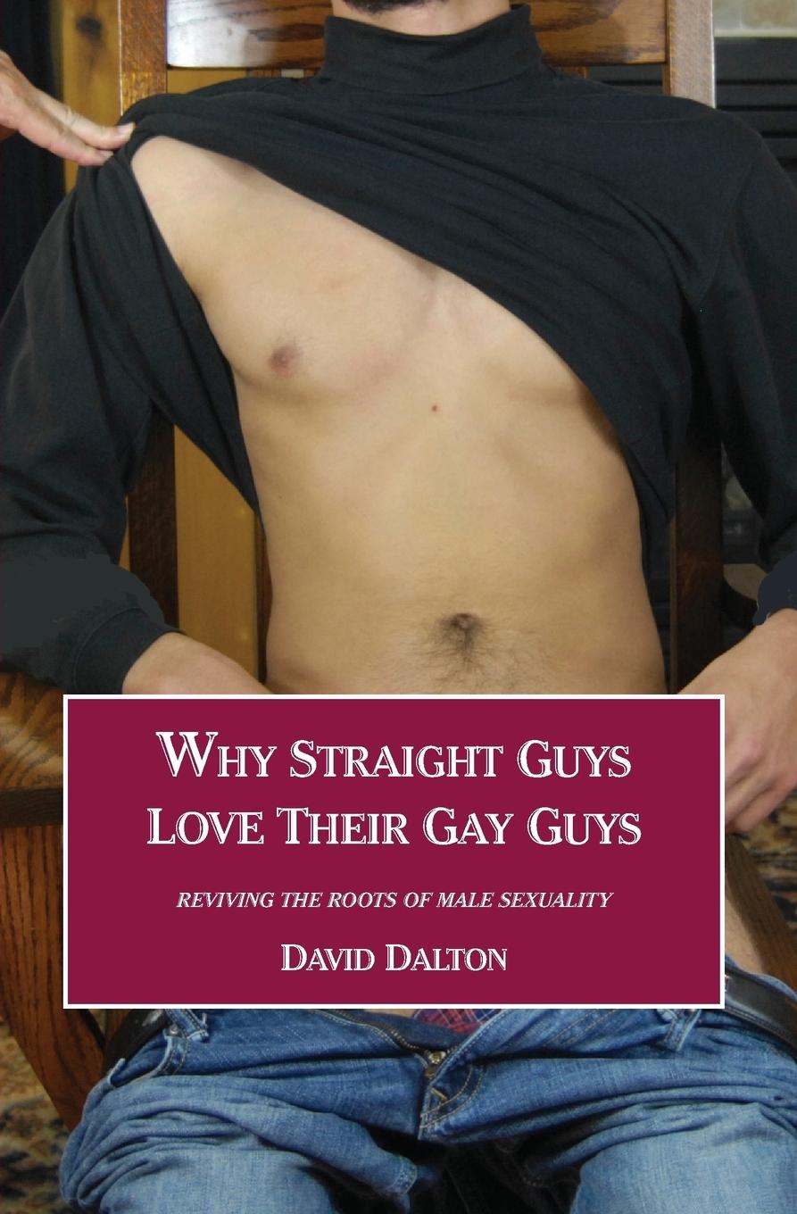 Vorderes Coverbild Why Straight Guys Love Their Gay Guys