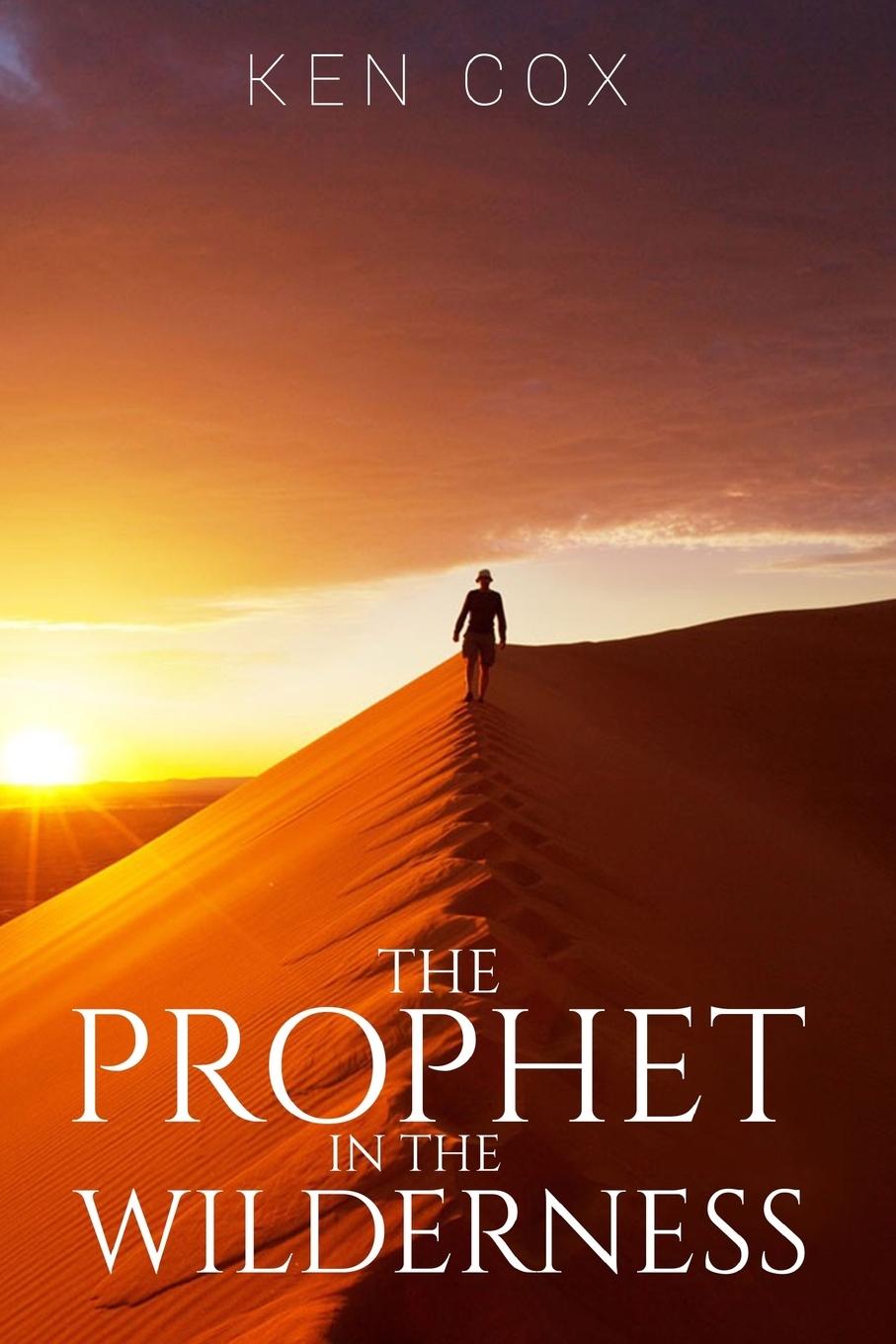 Vorderes Coverbild The Prophet In The Wilderness