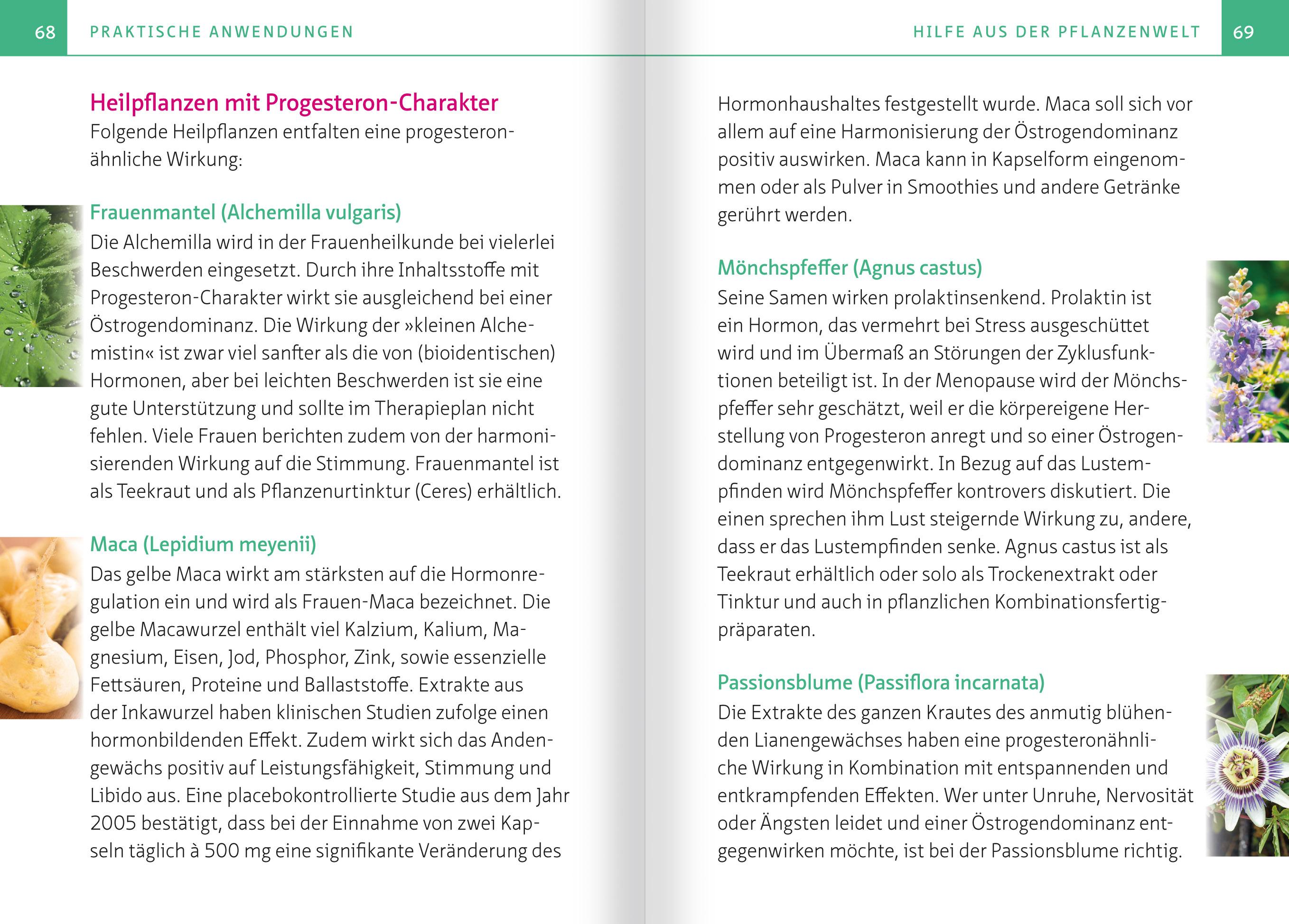 Beispielinhalt (Bild) Erste Hilfe bei Hitzewallungen & Co. Kompakt-Ratgeber