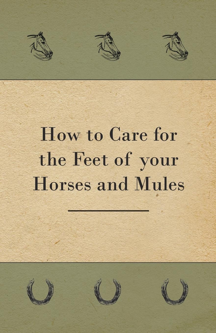 Vorderes Coverbild How to Care for the Feet of your Horses and Mules