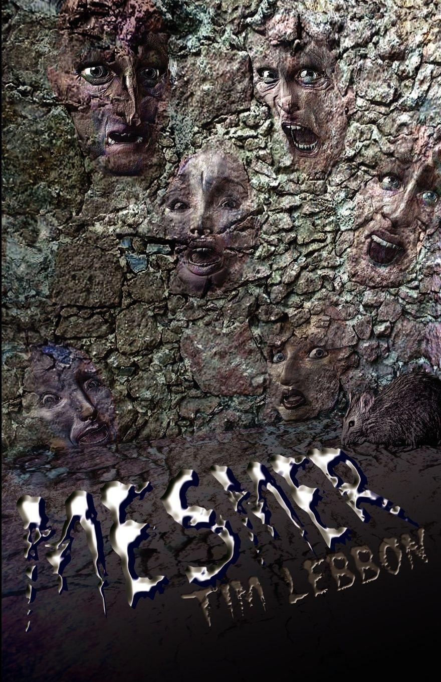 Vorderes Coverbild Mesmer