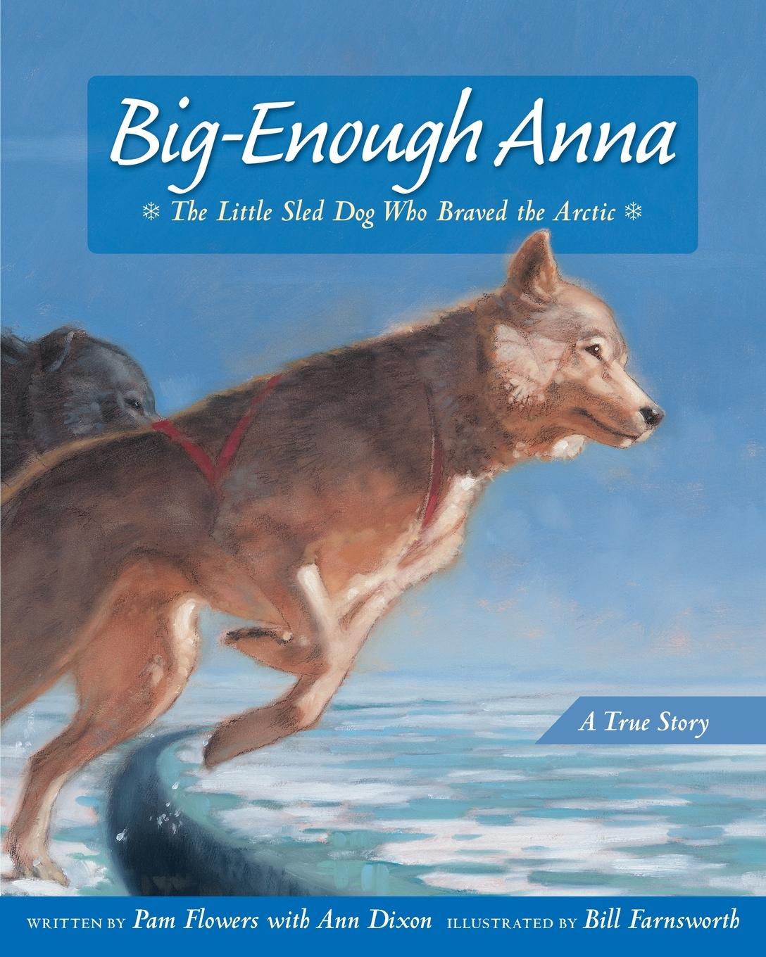 Vorderes Coverbild Big-Enough Anna