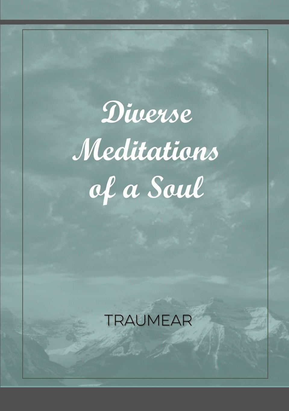 Vorderes Coverbild Diverse Meditations of a Soul