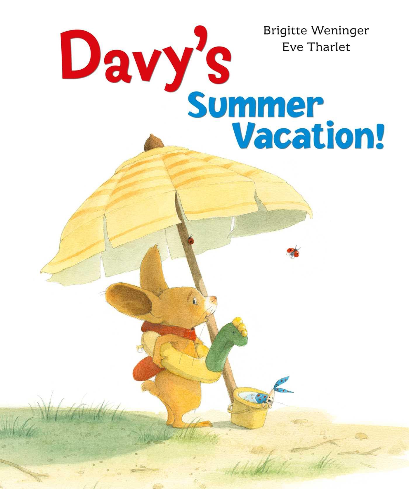 Vorderes Coverbild Davy's Summer Vacation