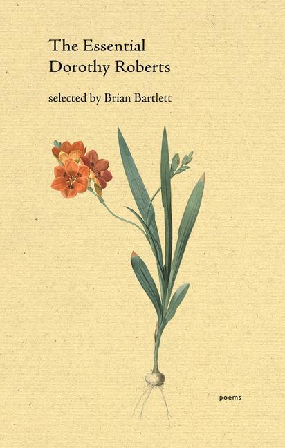 Vorderes Coverbild The Essential Dorothy Roberts