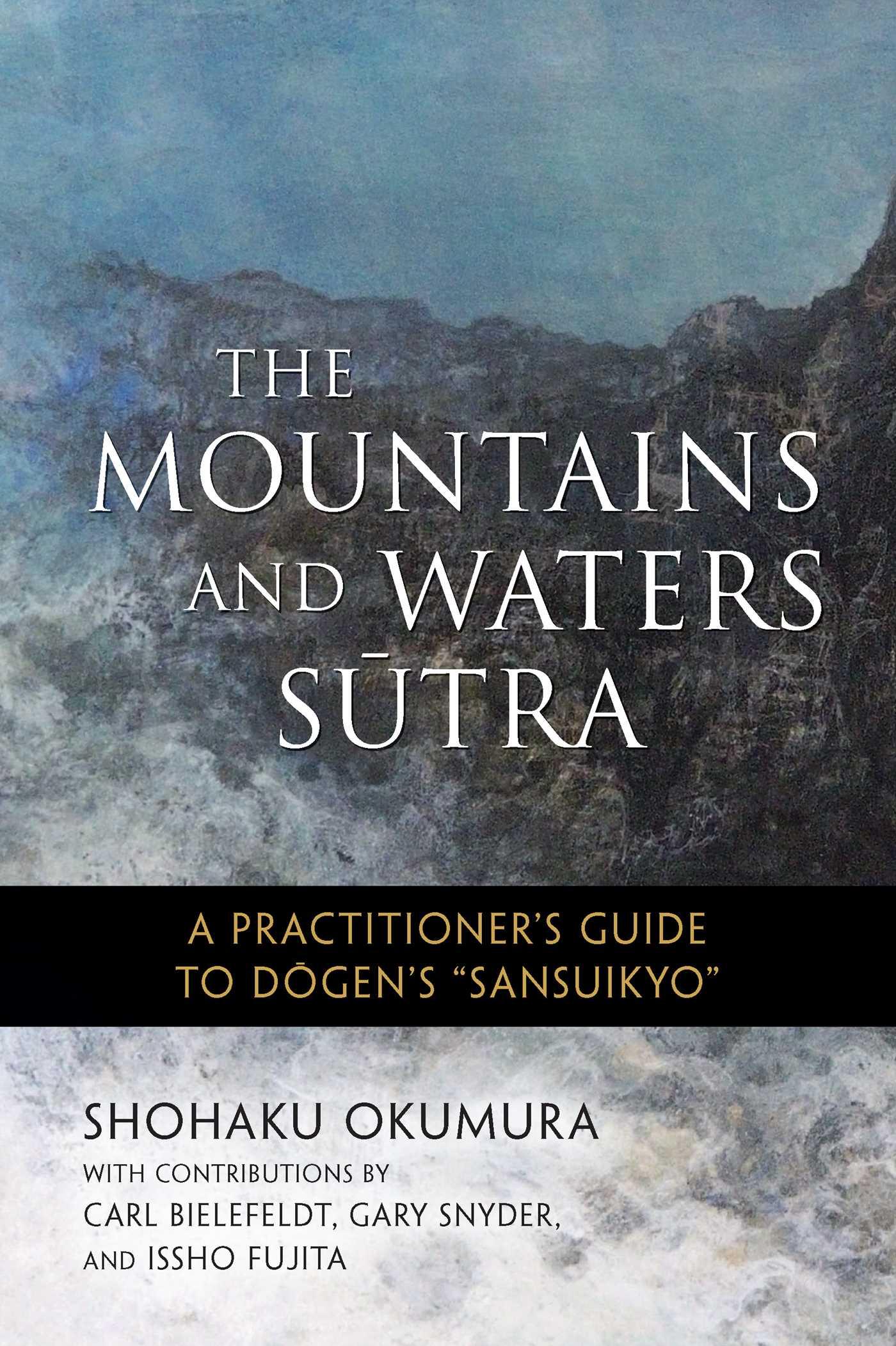 Vorderes Coverbild The Mountains and Waters Sutra