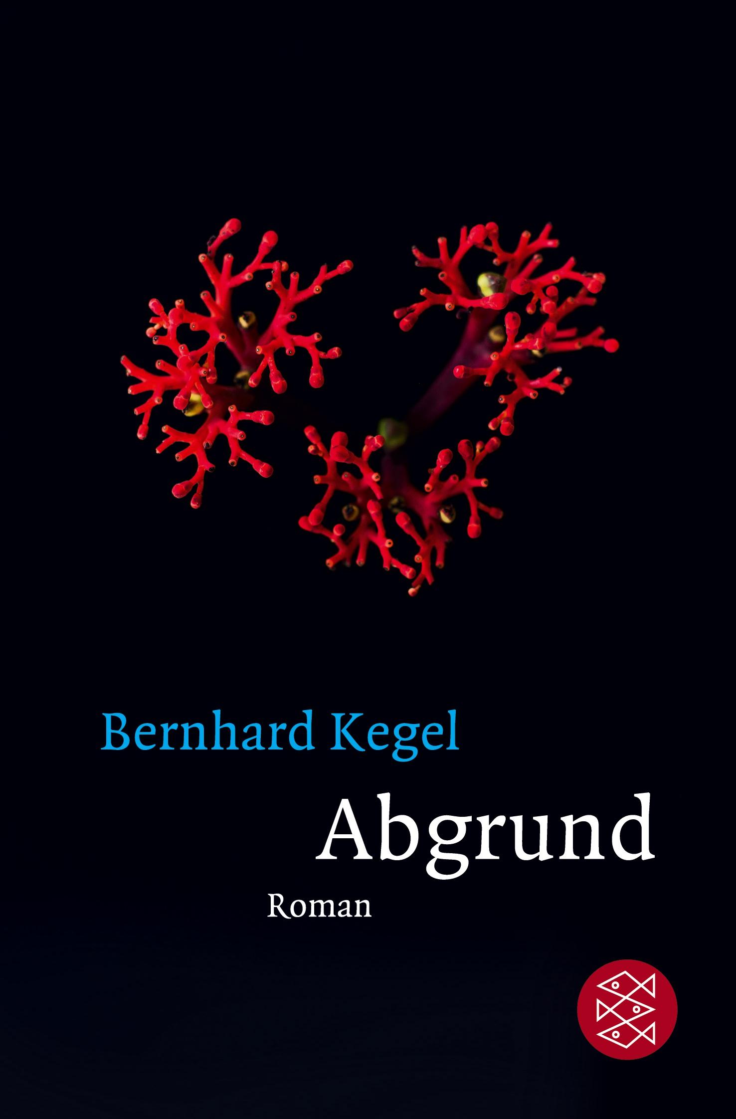 Vorderes Coverbild Abgrund