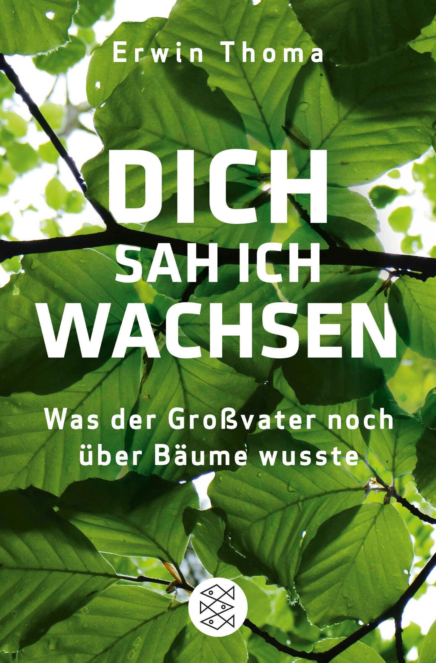 Vorderes Coverbild Dich sah ich wachsen