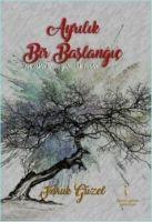 Vorderes Coverbild Ayrilik Bir Baslangic