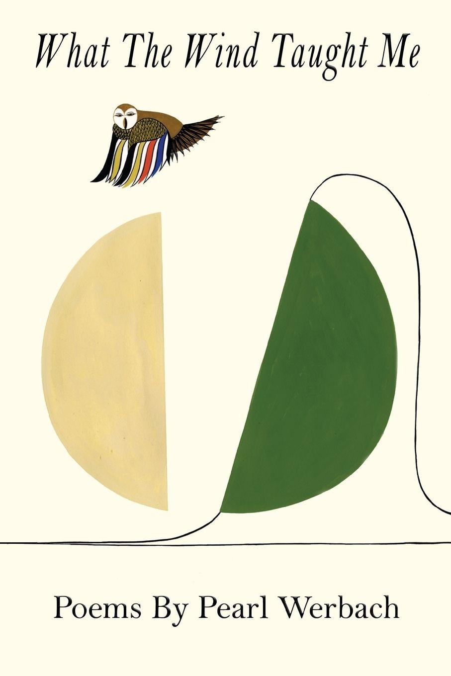 Vorderes Coverbild What The Wind Taught Me