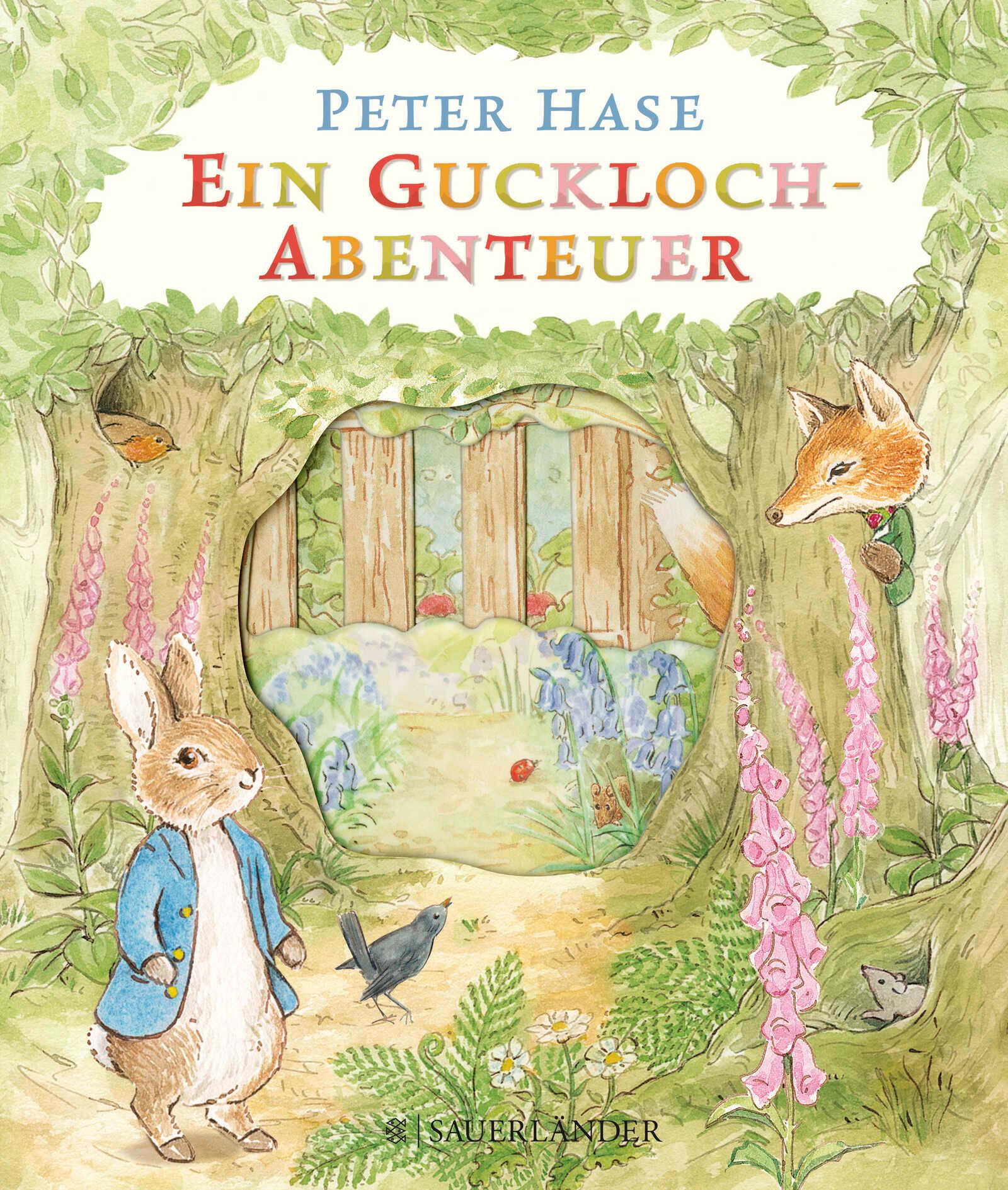 Vorderes Coverbild Peter Hase Ein Guckloch-Abenteuer
