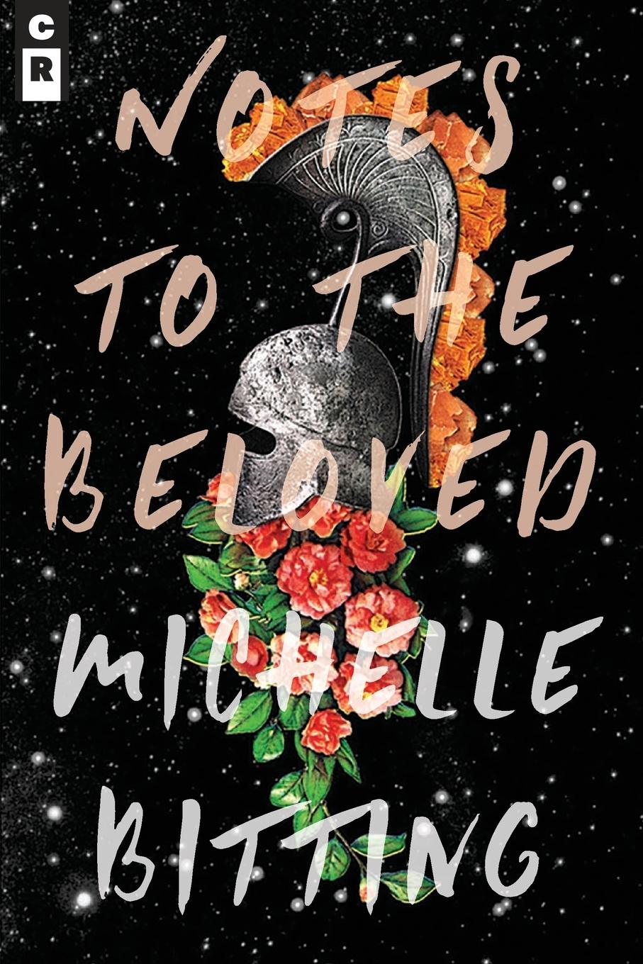 Vorderes Coverbild Notes to the Beloved