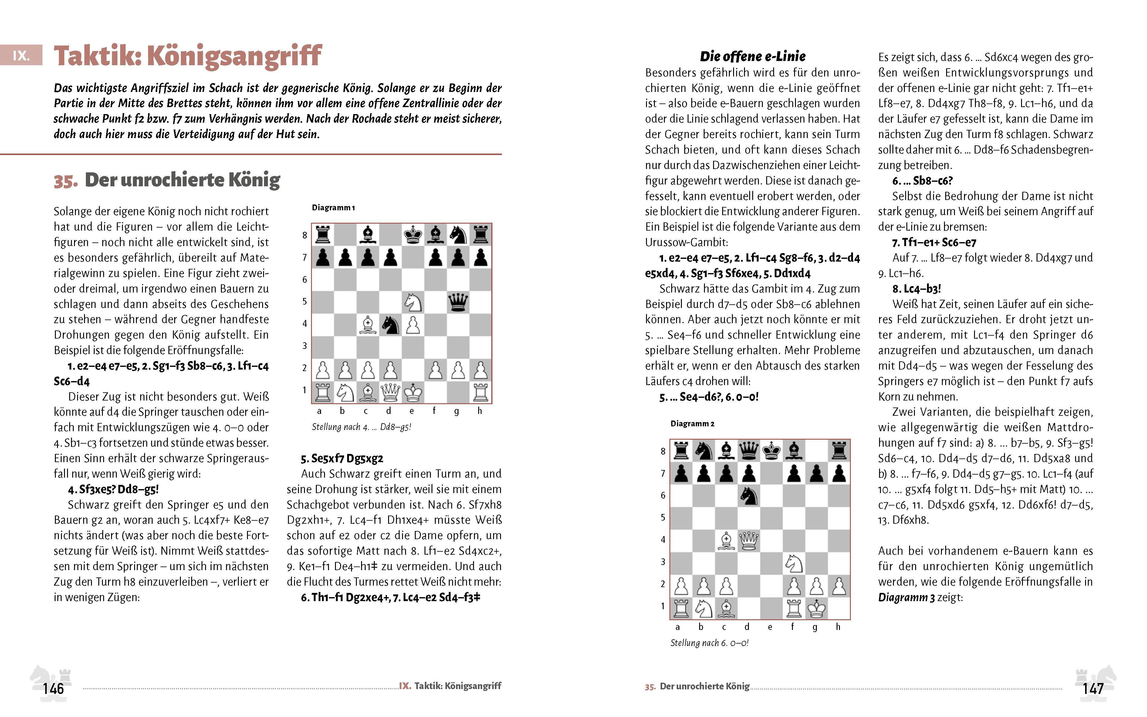 Beispielinhalt (Bild) Schach für Einsteiger