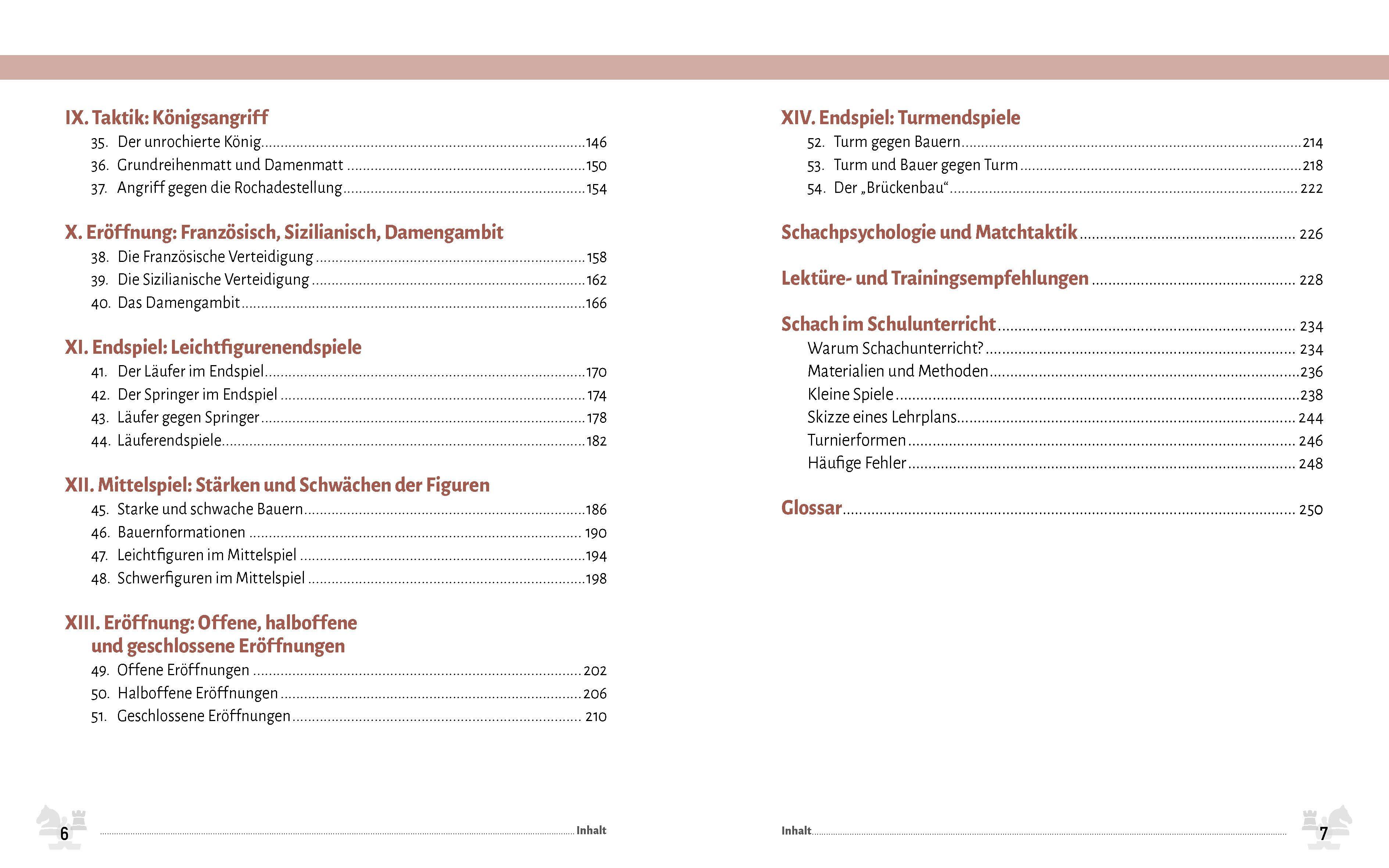 Beispielinhalt (Bild) Schach für Einsteiger