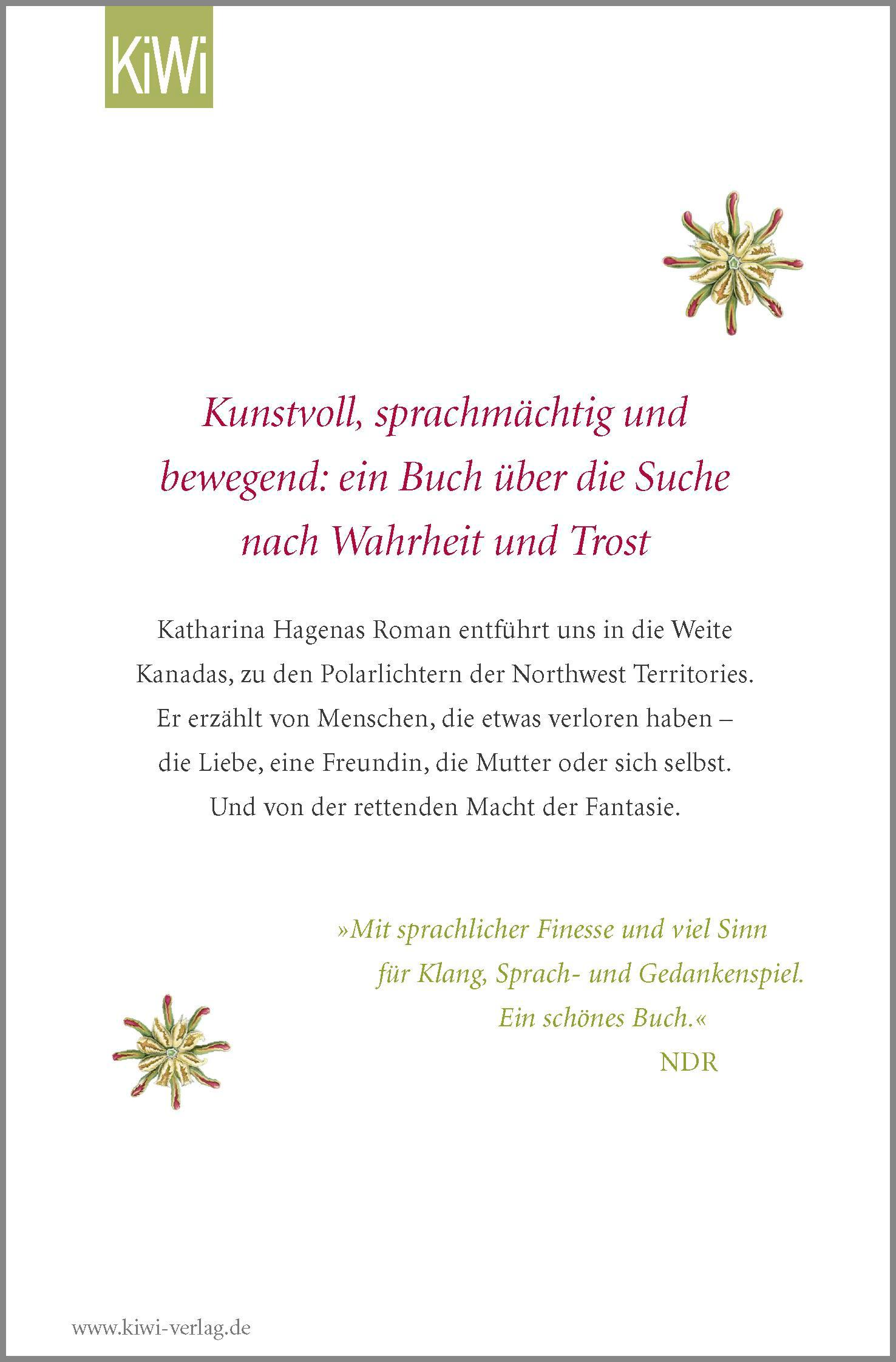 Rückseitencover Das Geräusch des Lichts