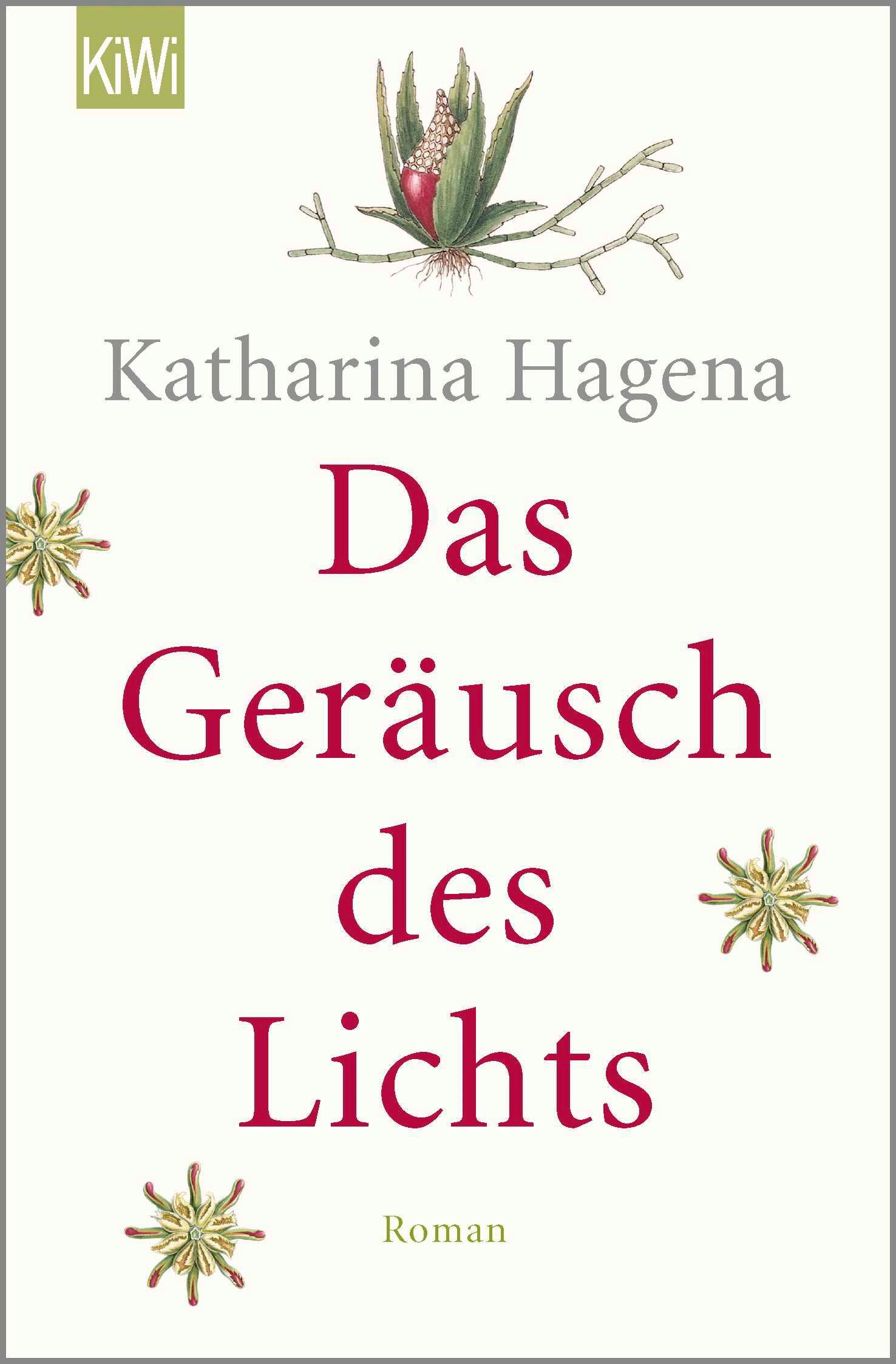 Vorderes Coverbild Das Geräusch des Lichts
