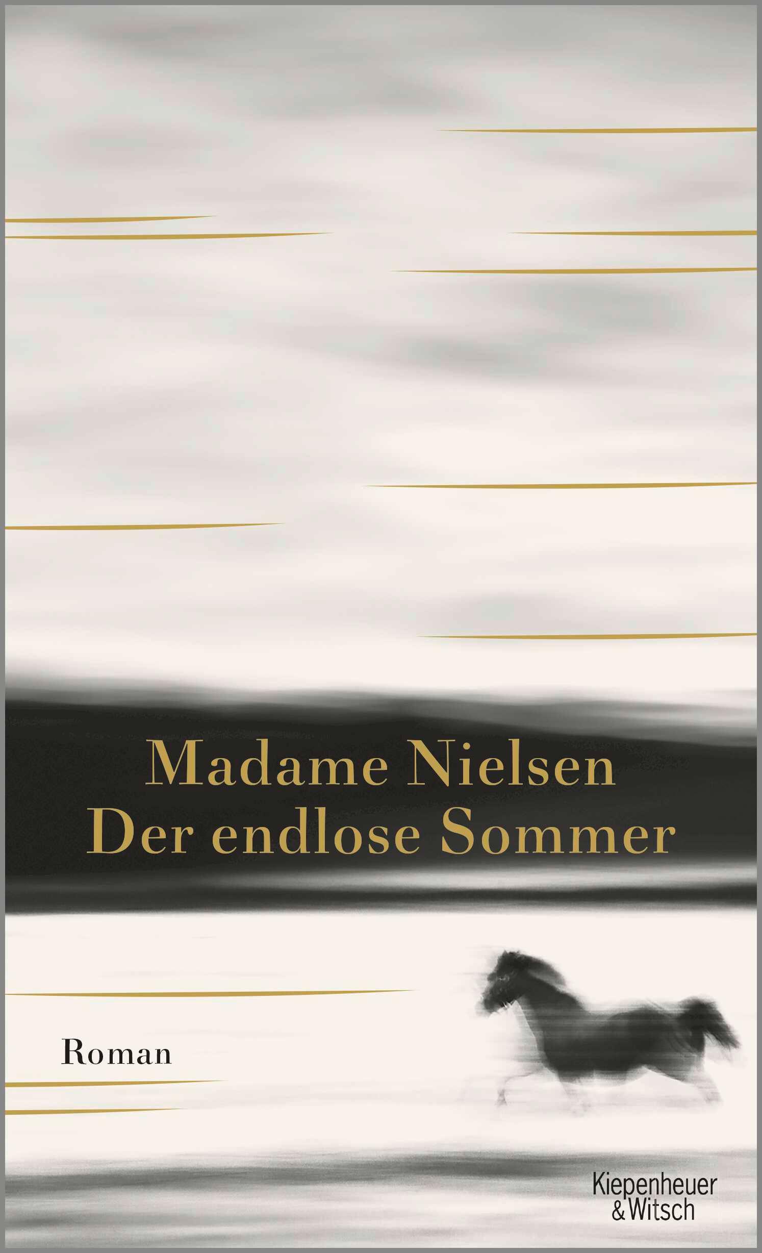 Vorderes Coverbild Der endlose Sommer