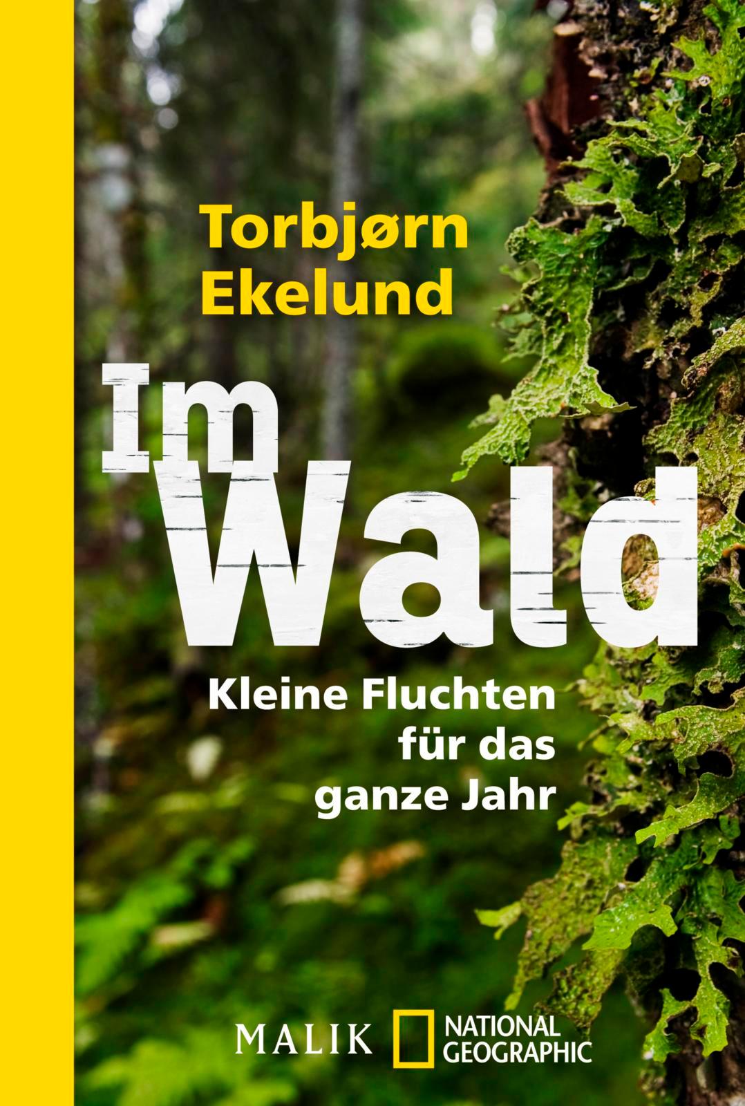 Vorderes Coverbild Im Wald