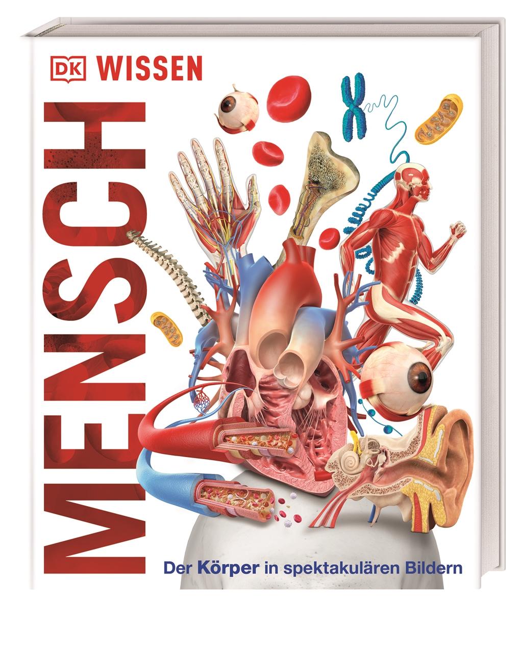 Vorderes Coverbild Wissen - Mensch