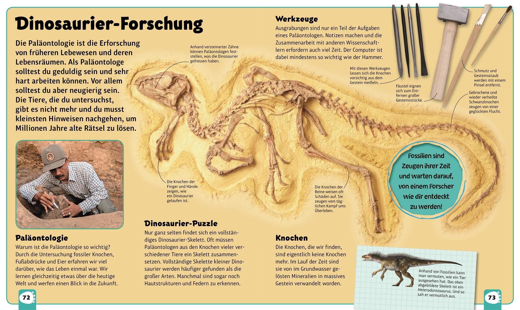 Beispielinhalt (Bild) Dino-Parade von A bis Z