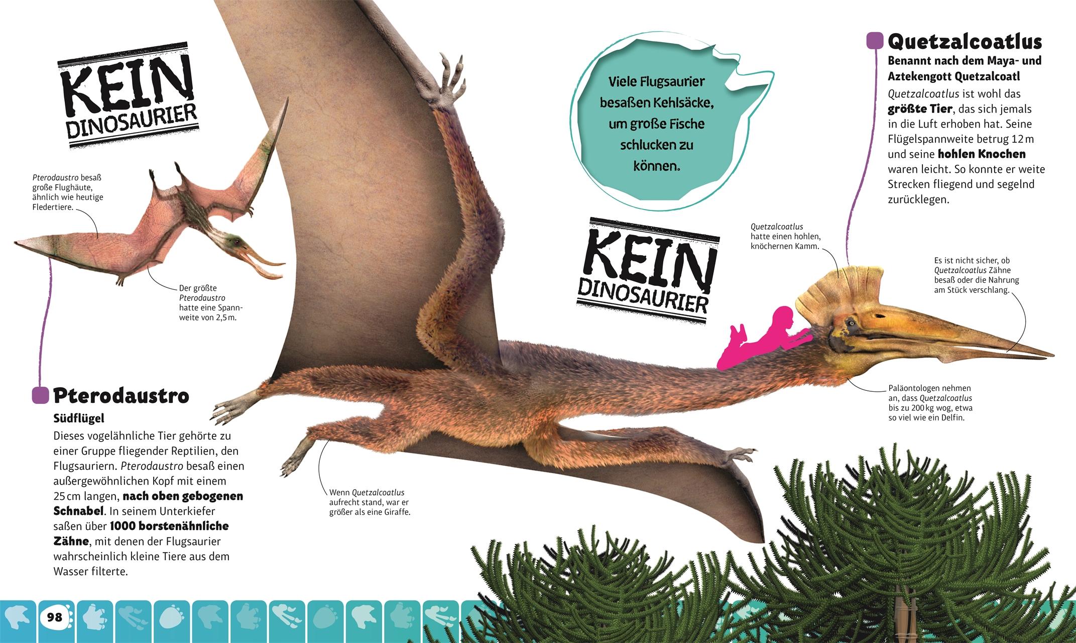 Beispielinhalt (Bild) Dino-Parade von A bis Z