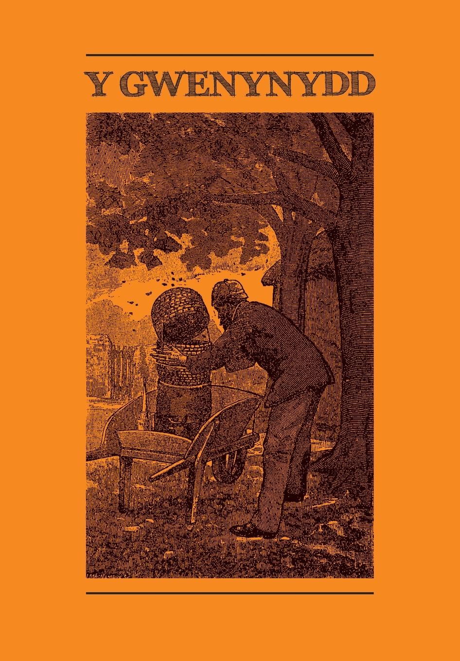 Vorderes Coverbild Y GWENYNYDD
