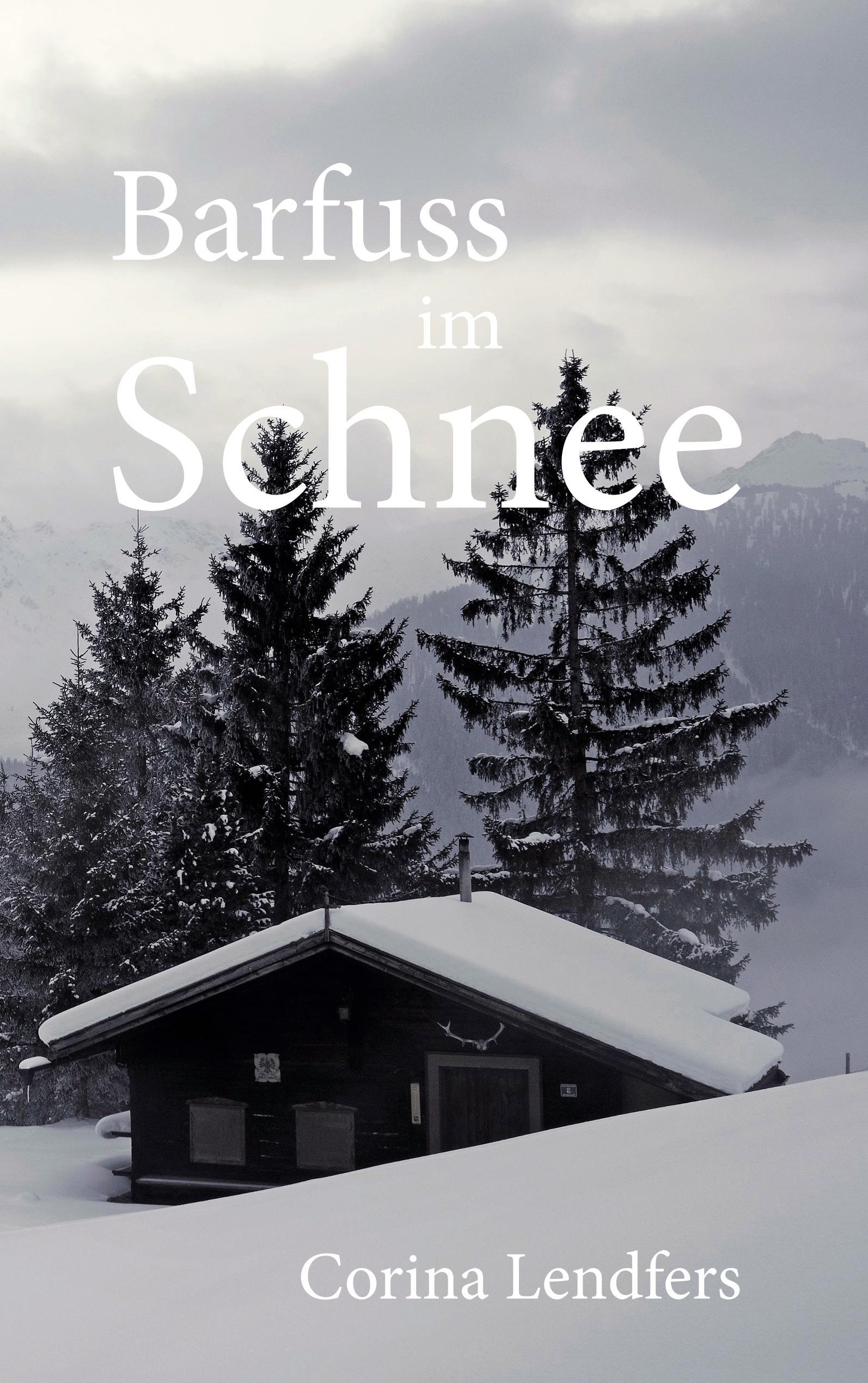 Vorderes Coverbild Barfuss im Schnee