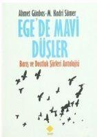 Vorderes Coverbild Egede Mavi Düsler