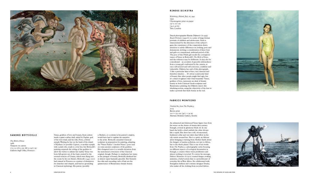 Beispielinhalt (Bild) Flying Too Close to the Sun