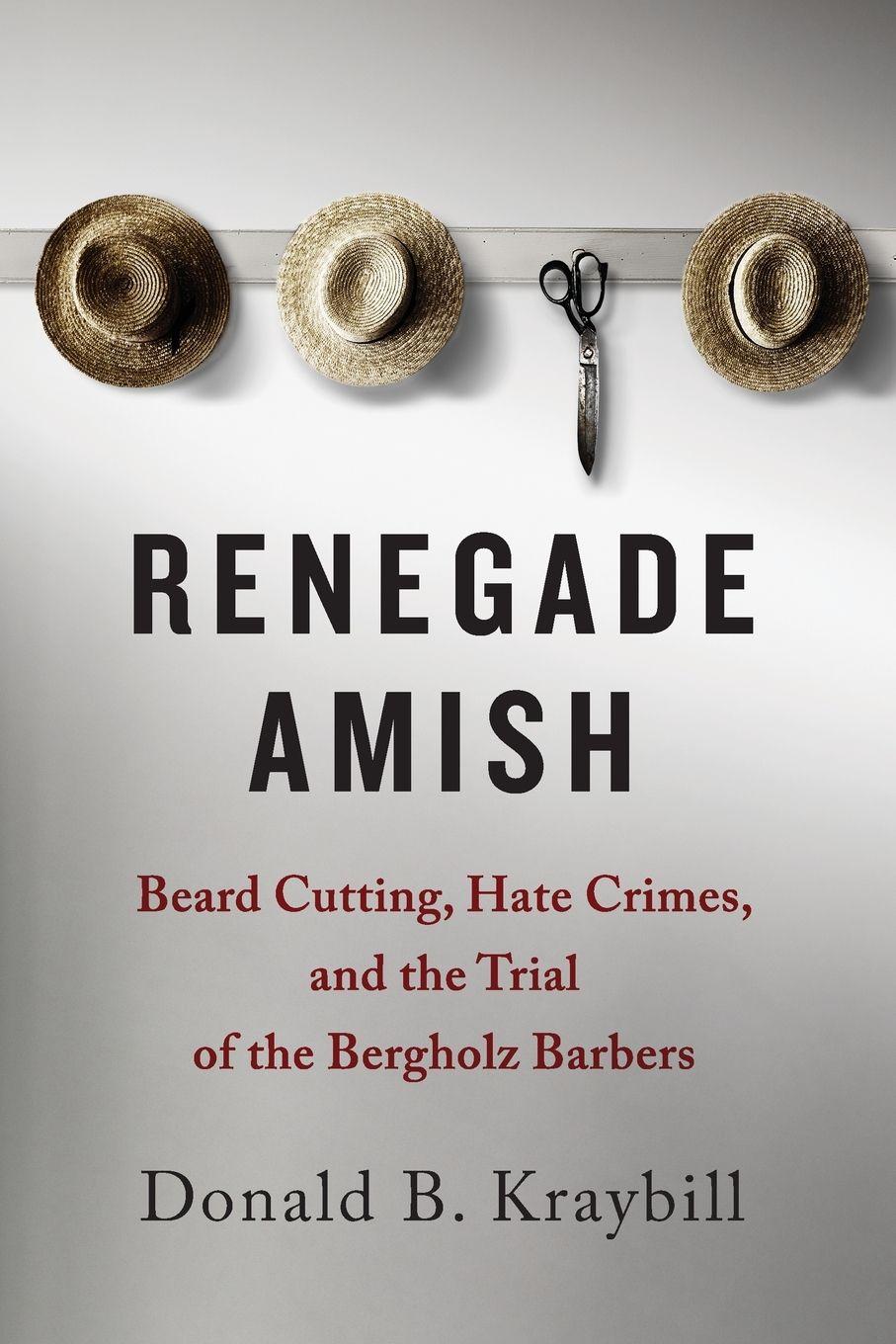 Vorderes Coverbild Renegade Amish