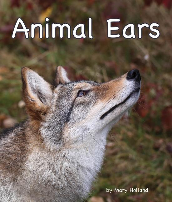 Vorderes Coverbild Animal Ears