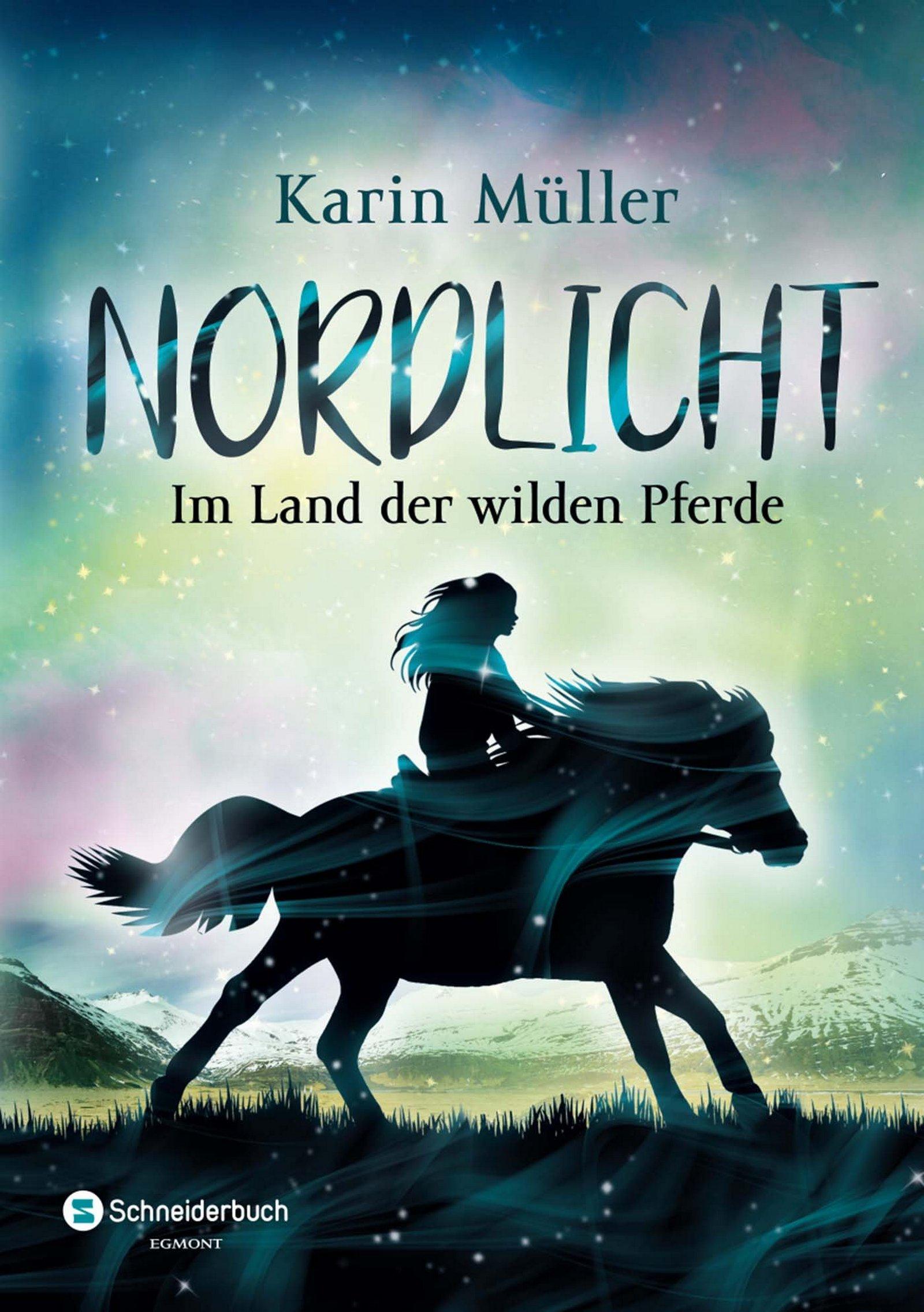 Vorderes Coverbild Nordlicht, Band 01