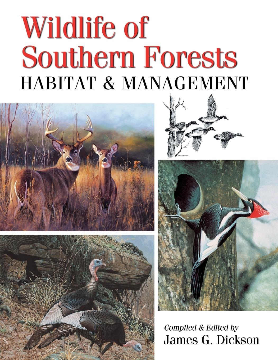 Vorderes Coverbild Wildlife of Southern Forests