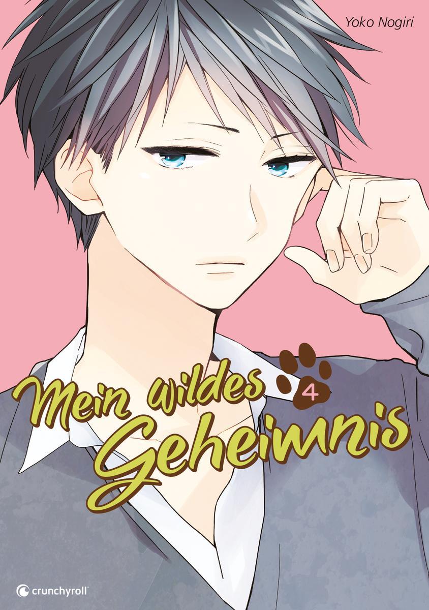 Vorderes Coverbild Mein wildes Geheimnis 04
