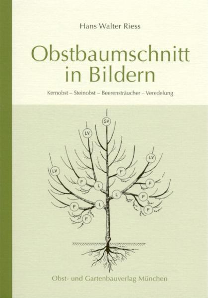 Vorderes Coverbild Obstbaumschnitt in Bildern
