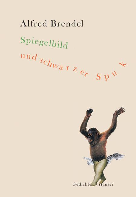 Vorderes Coverbild Spiegelbild und schwarzer Spuk
