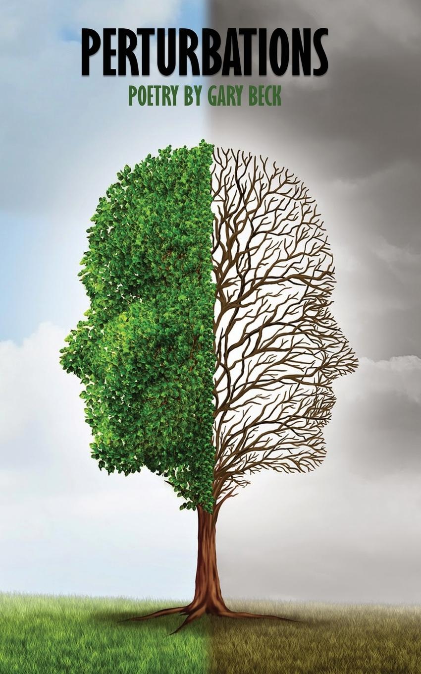 Vorderes Coverbild Perturbations