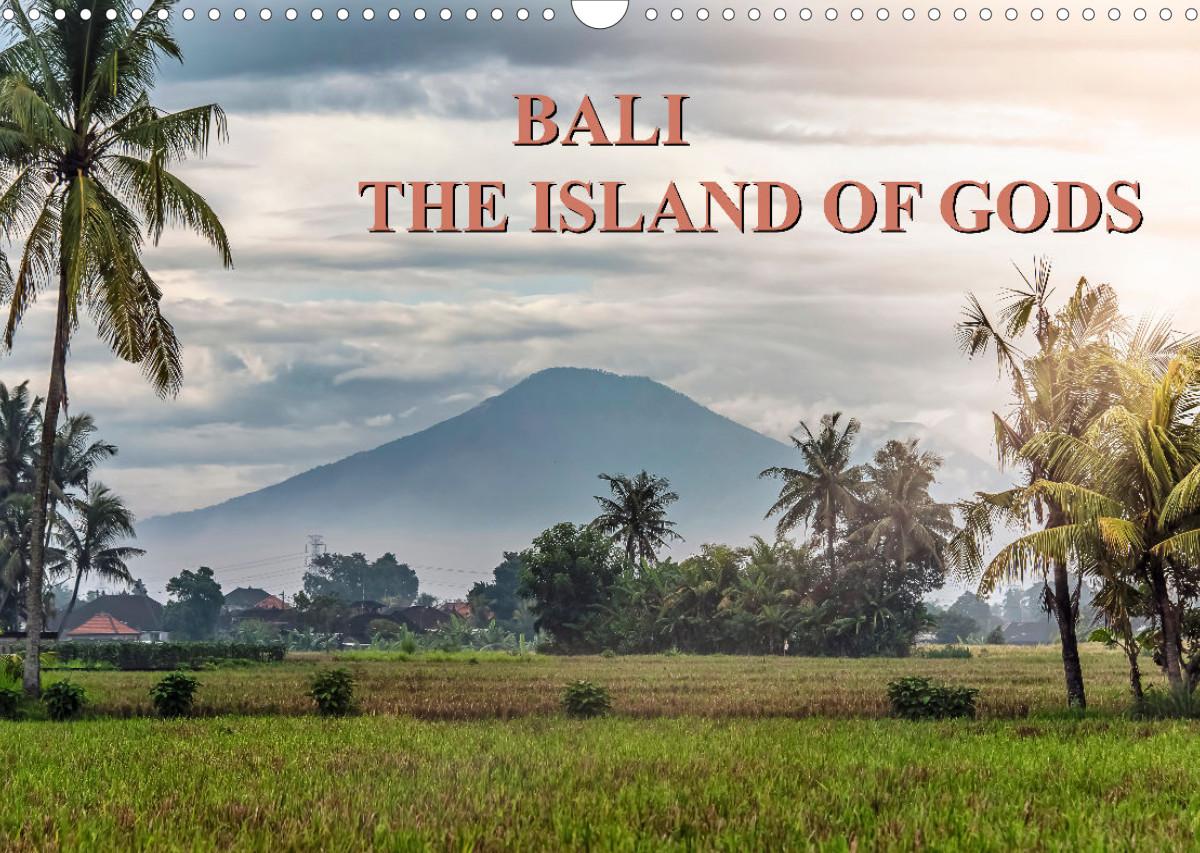 Vorderes Coverbild Downsizing Federal Government Spending