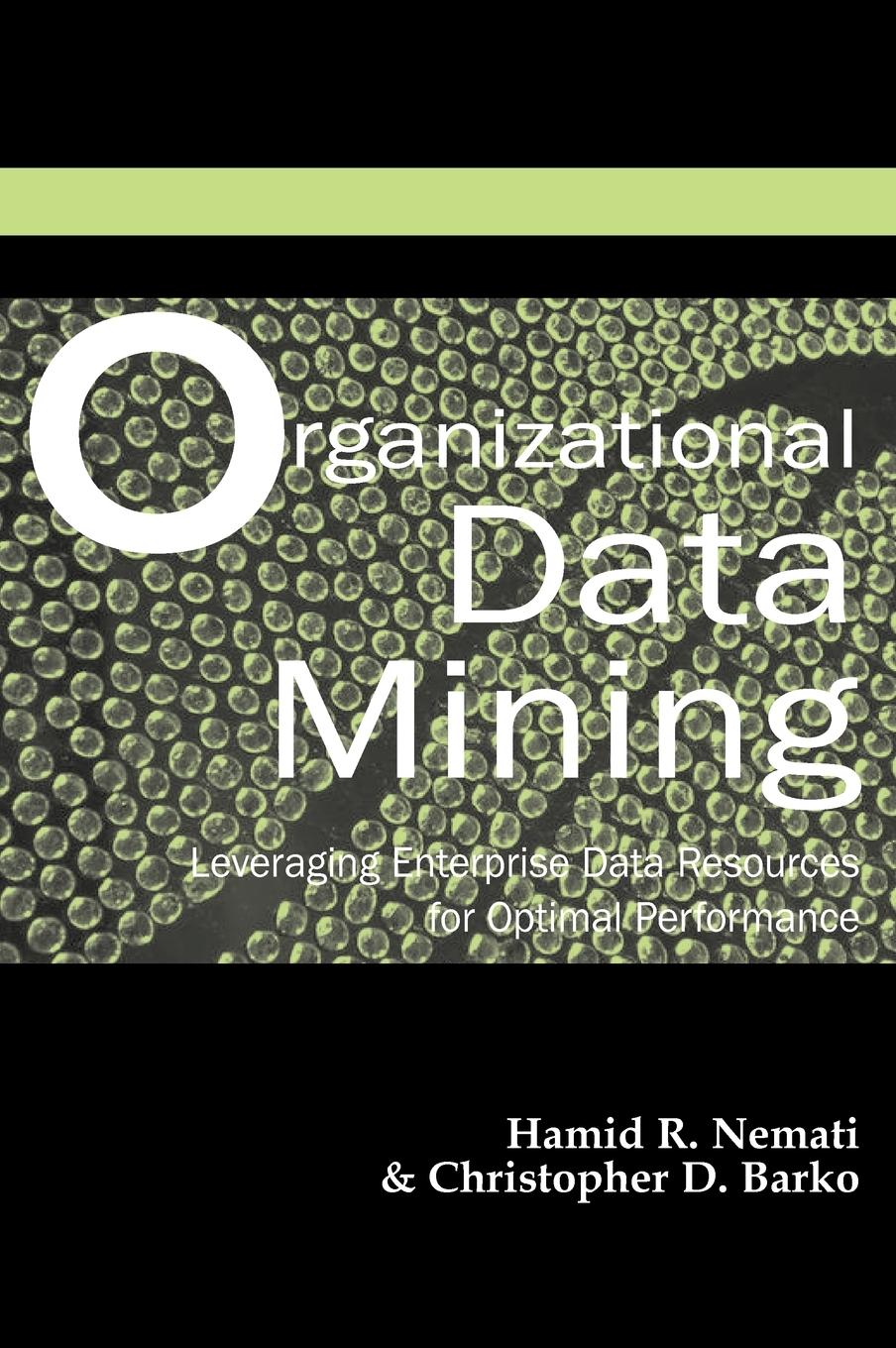 Vorderes Coverbild Organizational Data Mining