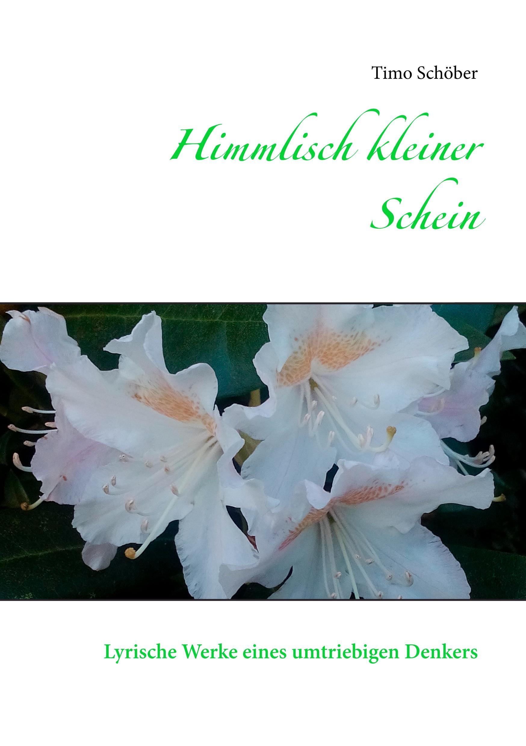 Vorderes Coverbild Himmlisch kleiner Schein