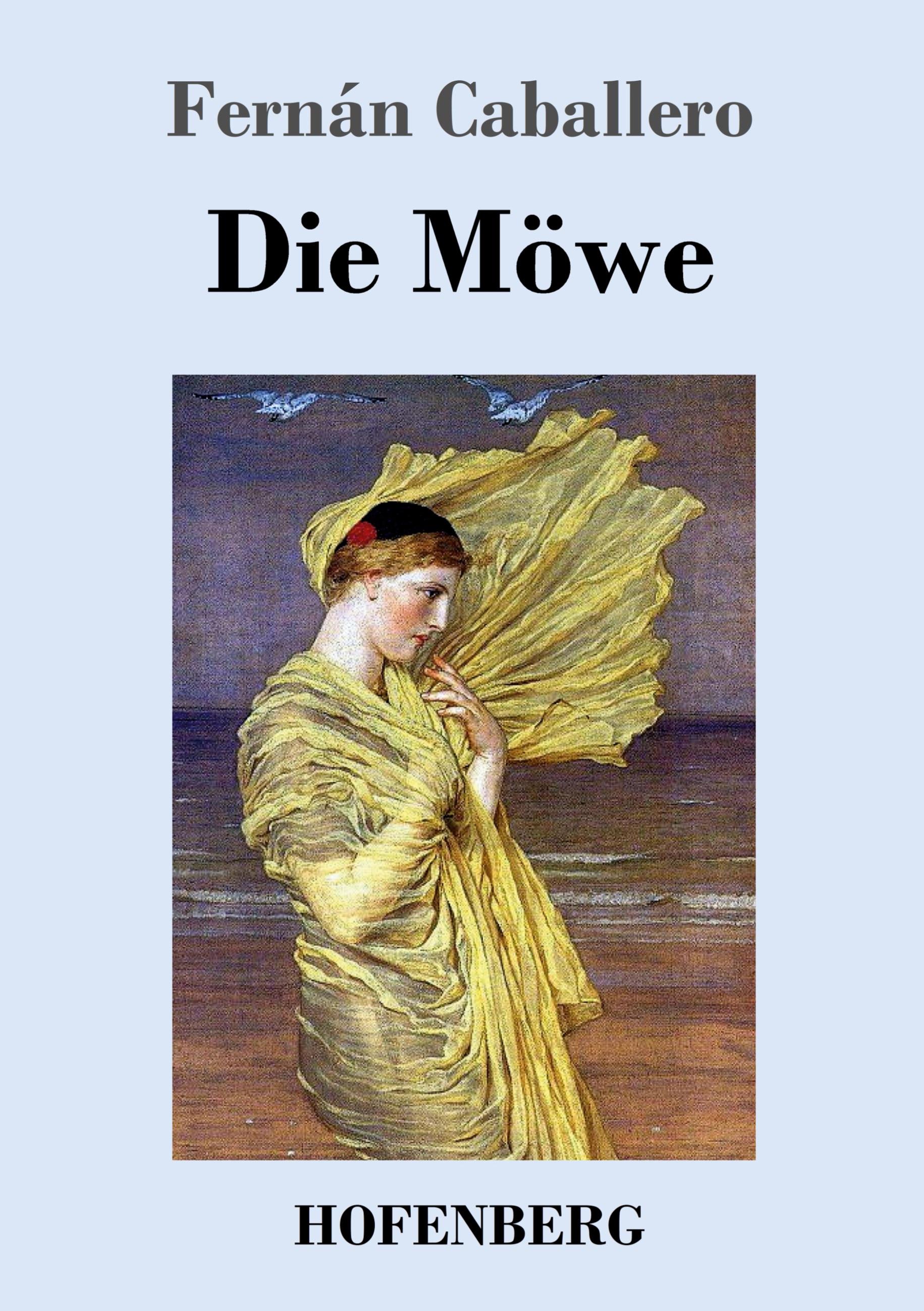 Vorderes Coverbild Die Möwe