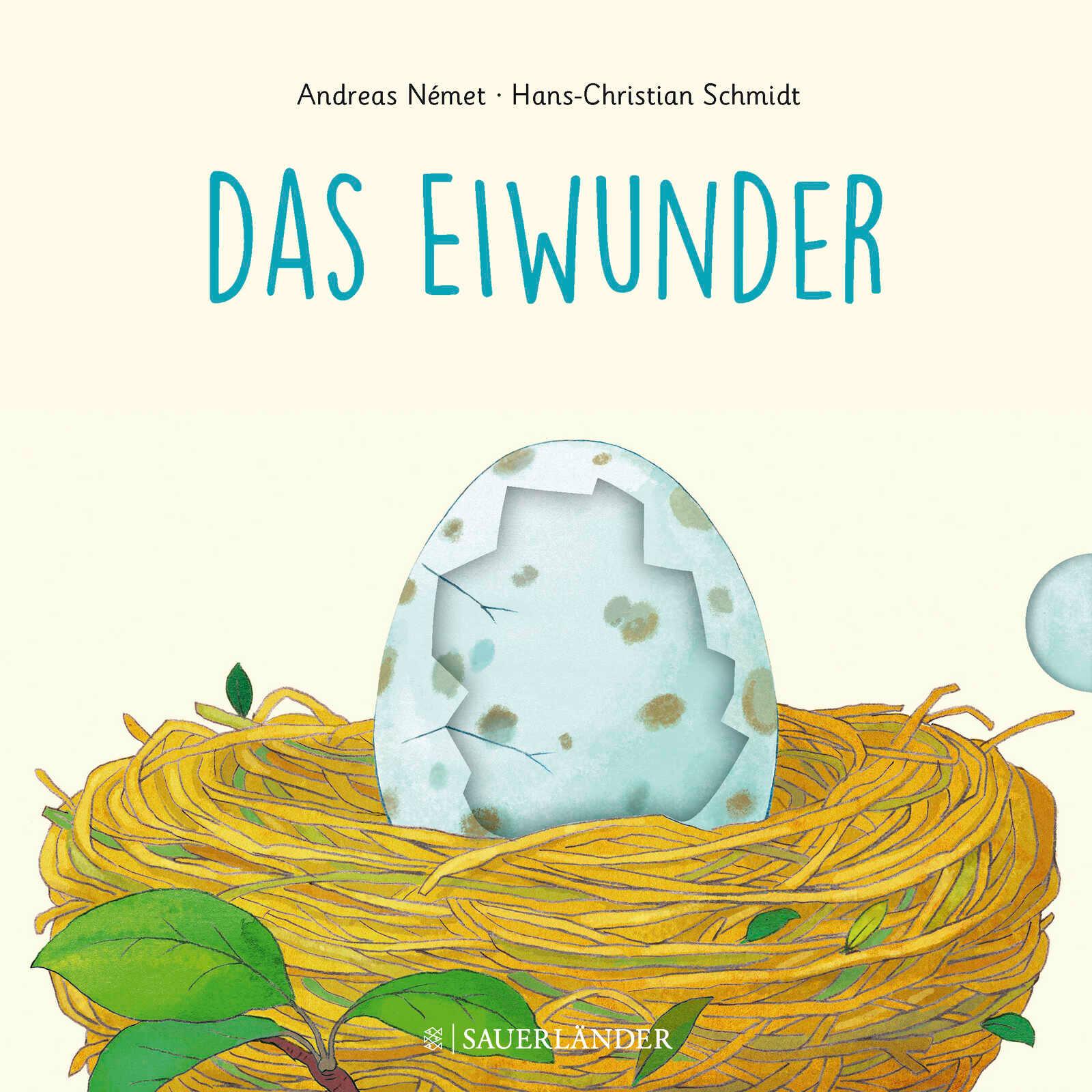 Vorderes Coverbild Das Eiwunder