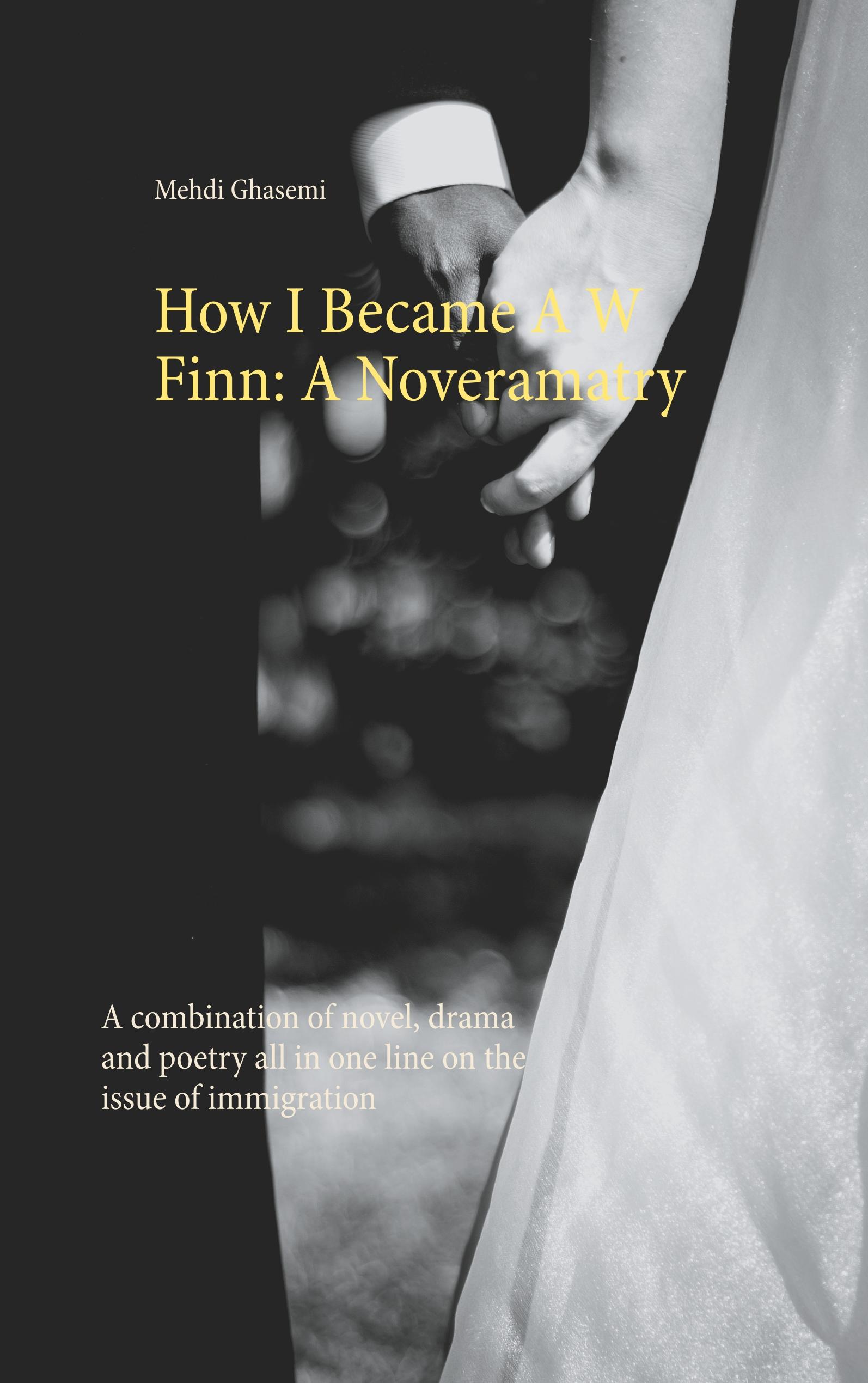 Vorderes Coverbild How I Became A W Finn: A Noveramatry