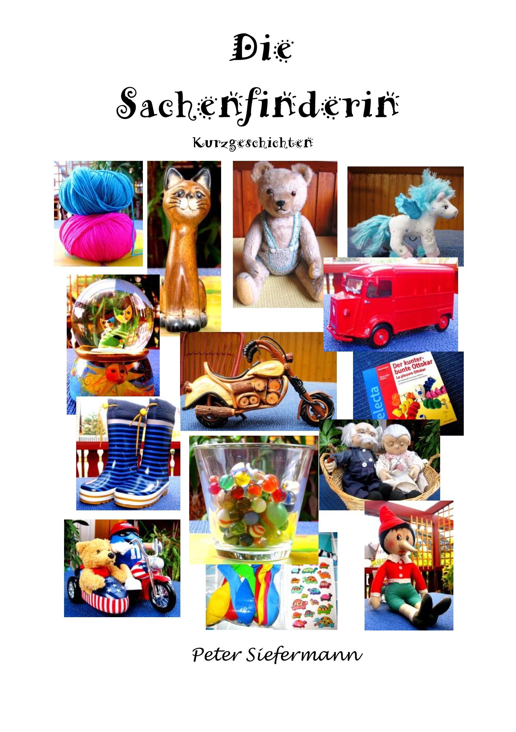 Vorderes Coverbild Die Sachenfinderin