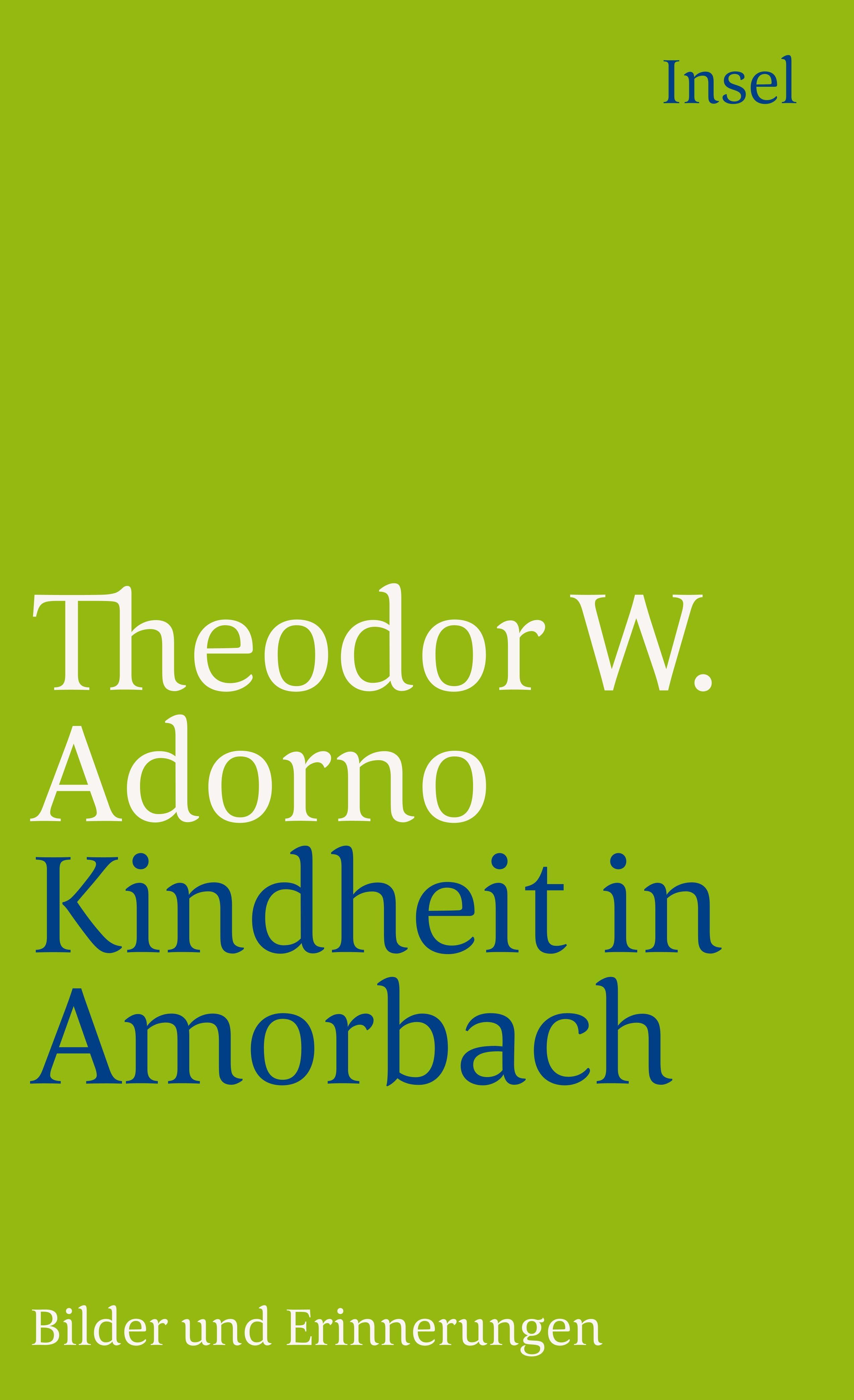 Vorderes Coverbild Kindheit in Amorbach