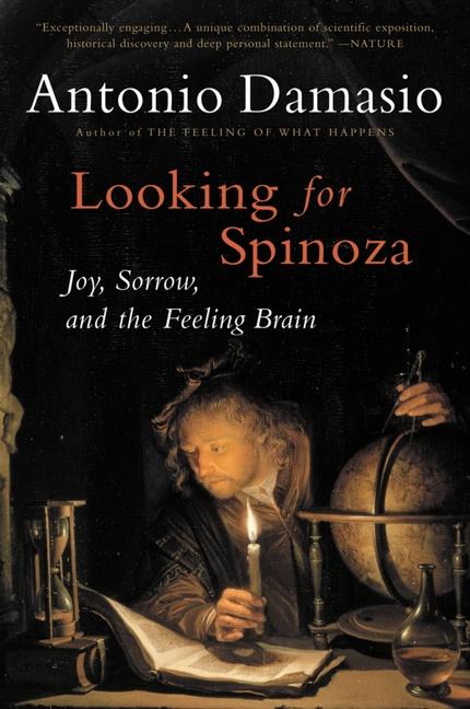 Vorderes Coverbild Looking for Spinoza