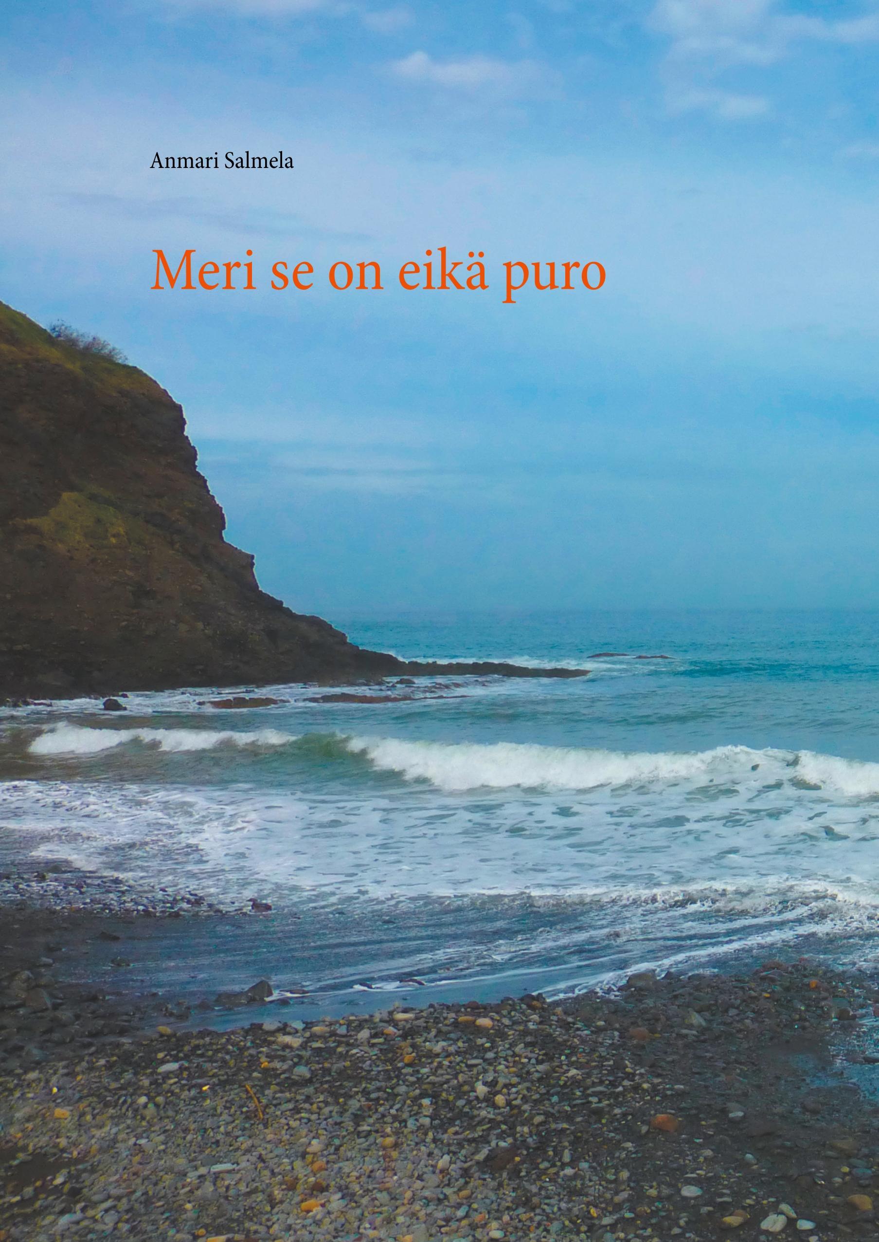 Vorderes Coverbild Meri se on eikä puro