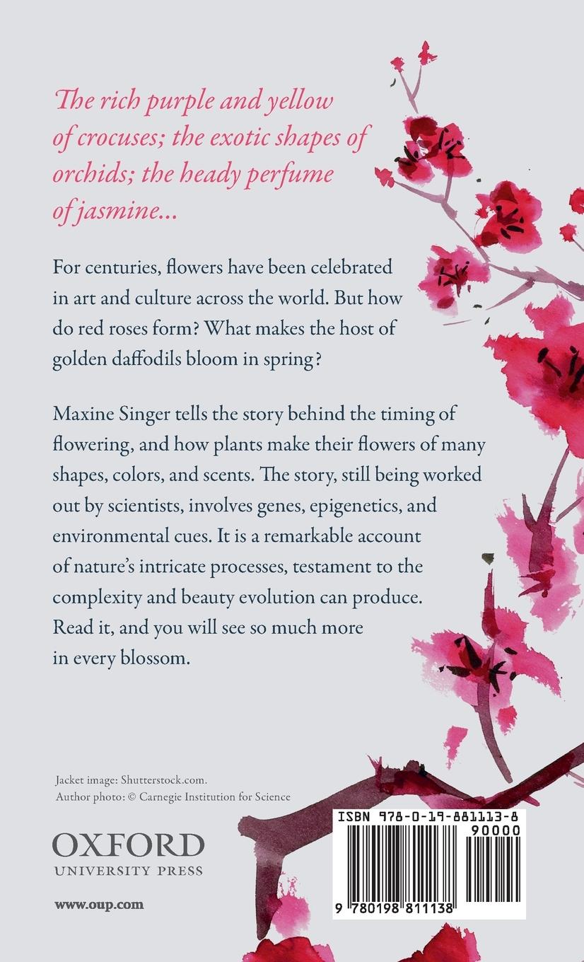 Rückseitencover BLOSSOMS C